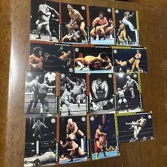 Item thumbnail for item 9096ad7c-786b-4629-ba01-6f0b5ca207d7