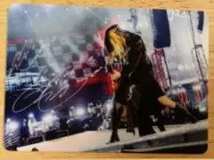 GLAY 30thウエハース vol.2 HISASHIサイン入りレアカード