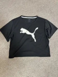 プーマ Tシャツ 160黒とオマケ白Tシャツ