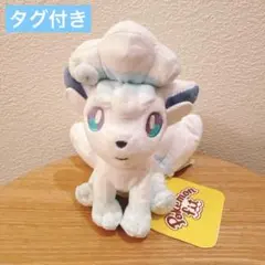 ポケモンfit アローラロコン タグ付き