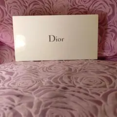Dior ブラック ナイロンポーチ