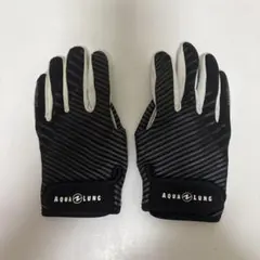 Item thumbnail for item 41023159-0797-4210-9f03-1bdf2e75916e