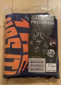 Item thumbnail for item 223cc8a7-b8c9-4d1e-abb5-68c46514fa0a