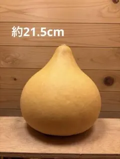 期間限定お値下げ】風水ひょうたん 辰年#5 柿渋 - メルカリ