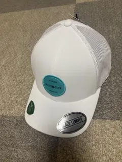 Item thumbnail for item 15a47cba-a01e-4bd3-a0ca-18f5cc6900cf