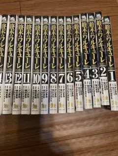 2025年最新】終末のワルキューレ 全巻の人気アイテム - メルカリ