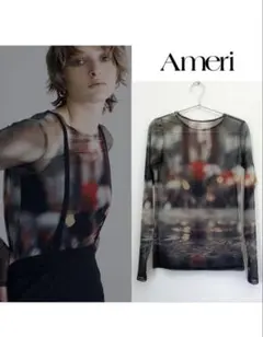 Ameri DAILY LIFE SCENERY SHEER TOP