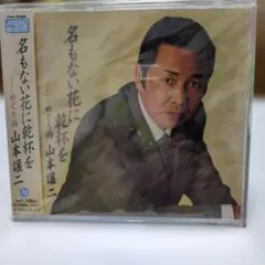 Item thumbnail for item 12b49cdd-a763-47f1-904c-362bbebe297f