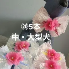 Item thumbnail for item 0ac16bfc-2081-4e82-b2fc-a9b9c53d07ef