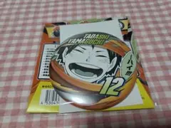 ハイキュー ファンパーク コレクション缶バッジ 山口忠