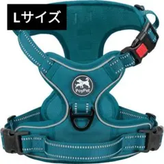 Item thumbnail for item 0b8eb758-88a6-4ade-b67a-c58bb471d796