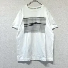 レア ユニクロ デニスストックコラボ プリントTシャツ 半袖カットソー b100