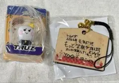 TREASURE ヨシ カプセルトイ TRUZ ポップアップ