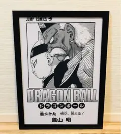 CA29 ドラゴンボール 一番くじ クリアイラスト【額付】人造人間19号＆20号