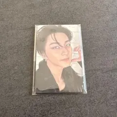 THESIN:VANISH UMSフォトカードセット