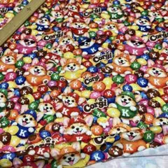 ポリエステルニット生地　在庫2