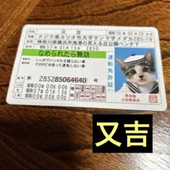 Item thumbnail for item ea64cff5-be49-4895-97be-cf81b5d4ba59