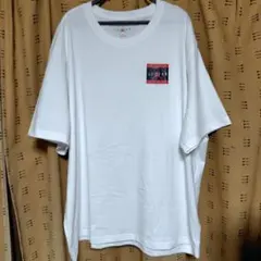 【値下げ不可】新品タグ付き　ジョーダンブランドロゴTシャツ白　US　3XLサイズ