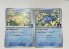 しめりけコダック　ゴルダック：ジムプロモ PROMO 263/SV-P