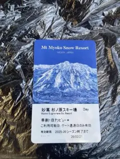妙高杉ノ原スキー場 リフト招待券 妙高杉ノ原スキー場リフト券 2枚セット 【公式通販】