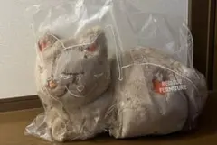 Item thumbnail for item 7dca7c53-6c93-48aa-84bb-923e93e2cade