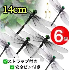 オニヤンマ科 標本 Ar オニヤンマ科 標本 Ar オニヤンマ科 標本 Ar オニヤンマ（標本風