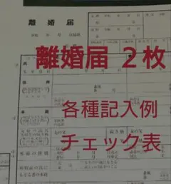 a５１１【普】離婚届　各種届　詳細記入例のサムネイル
