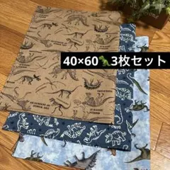 【翌日発送可‪‪ 】ランチョンマット40×60 3枚セット 恐竜 ハンドメイド