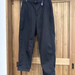 THE NORTH FACE PURPLE LABELサイズ30 NT5052N