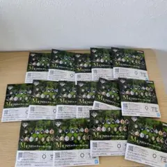 一番くじ 呪術廻戦 死滅回游 ～壱～　M賞 アクリルチャーム　15種コンプ