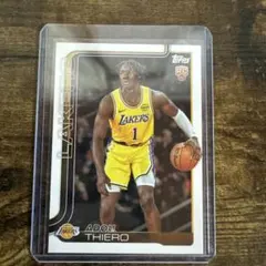 Item thumbnail for item cf02b08d-ff9d-4f81-9a8e-217fcb5d6f65