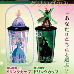 2026年最新】Wicked タンブラーの人気アイテム - メルカリ