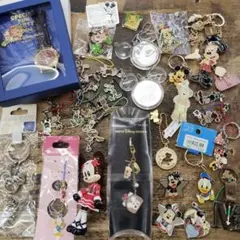 ディズニーランド グッズ　いろいろまとめてセット　ミッキー など　まとめ売り