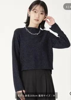 CAST: シャイニープルオーバーMネイビー