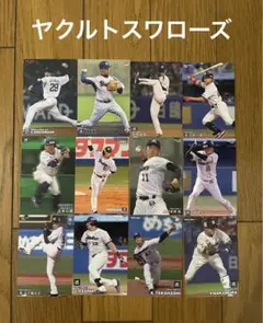 プロ野球チップスカード　ヤクルトスワローズ　12枚セット