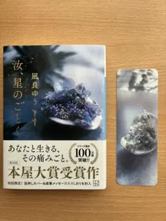 汝、星のごとく 風良ゆう