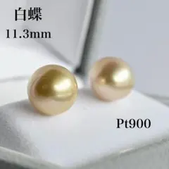 新品未使用】南洋 タヒチ産 白蝶 ゴールデンパール 真珠 ピアス 