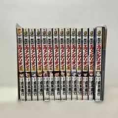 新世紀エヴァンゲリオン 全巻セット　14巻プレミア限定巻