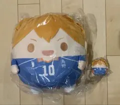 ハイキュー‼︎ くじメイト ぬいくじ　ふわコロりん BIG 日向翔陽