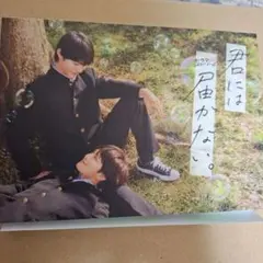 2026年最新】君には届かない 前田拳太郎 柏木悠の人気アイテム - メルカリ