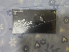 中山美穂　CDシングル　マニア向け