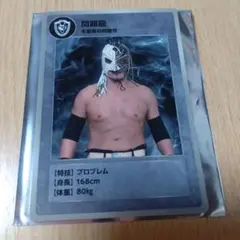 ドラゴンゲート 帆希選手 ファンクラブ ブロマイド・缶バッジセット 2026年最新】dragongateの人気アイテム - メルカリ