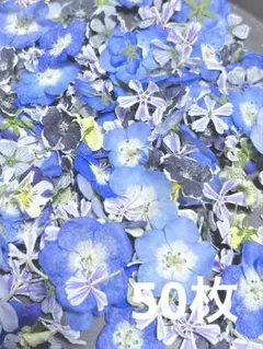S コバルトブルー かすみ草 ドライフラワー - メルカリ