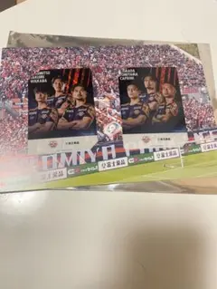 大宮アルディージャ　カード