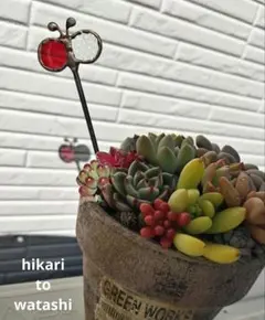 Lemon Tree様 リクエスト 3点 まとめ商品