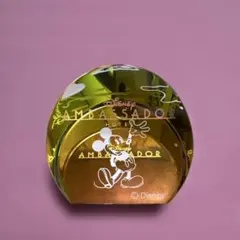 Disney Ambassador Hotel ペーパーウェイトのサムネイル
