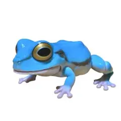 アマガエル カプセルトイ
