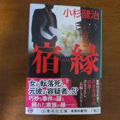 元祖❗️サービスオークション盆栽❗️]真柏/杉葉は目を瞑って下さい