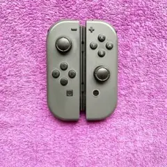 ジョイコン Joy-Con 純正 グレー 左右セット x8g-9