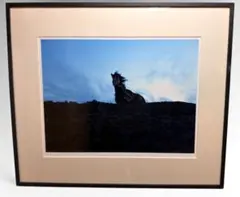 平山郁夫、西域の馬、希少画集画、新品高級額装付 - メルカリ